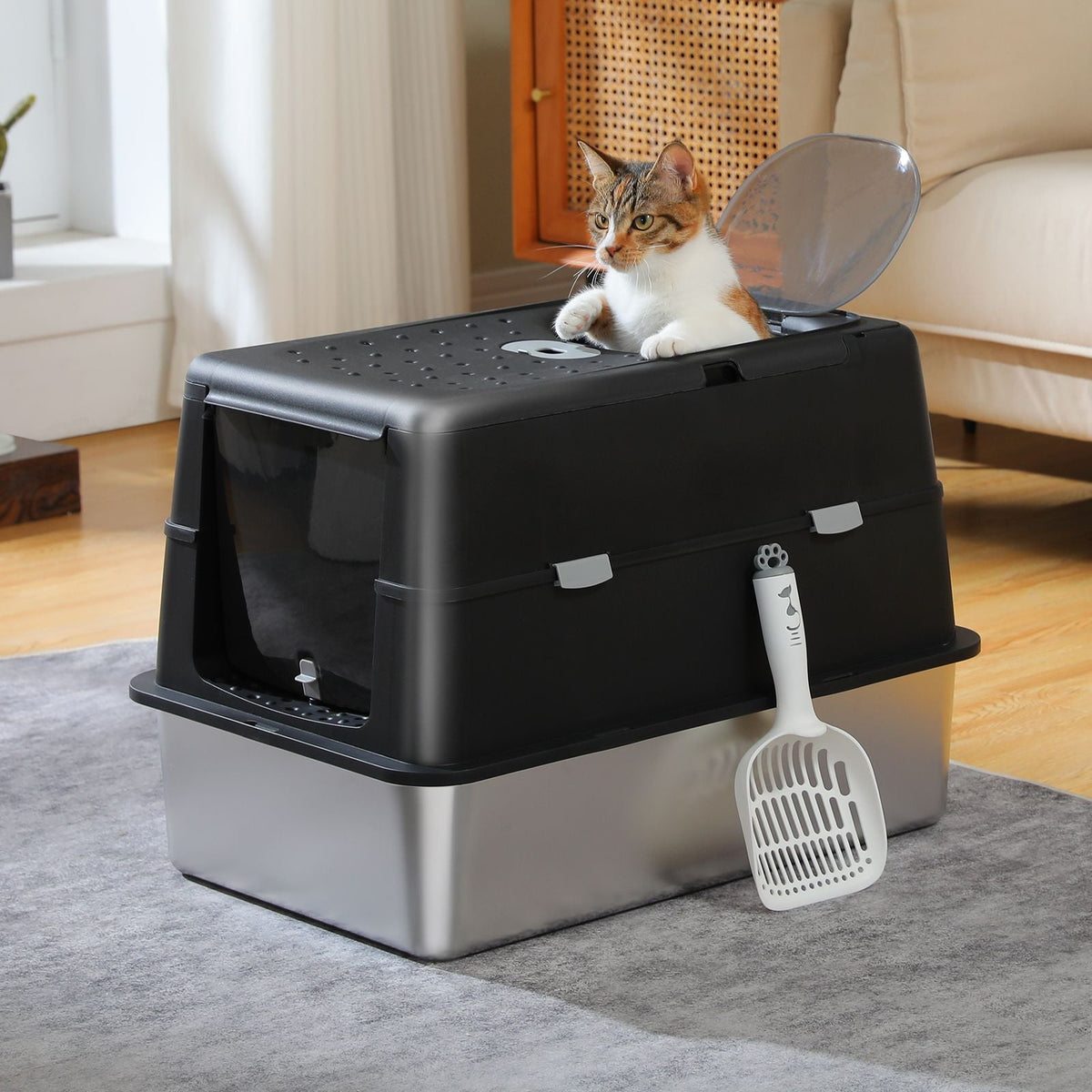 Katzenstreu & Katzentoiletten