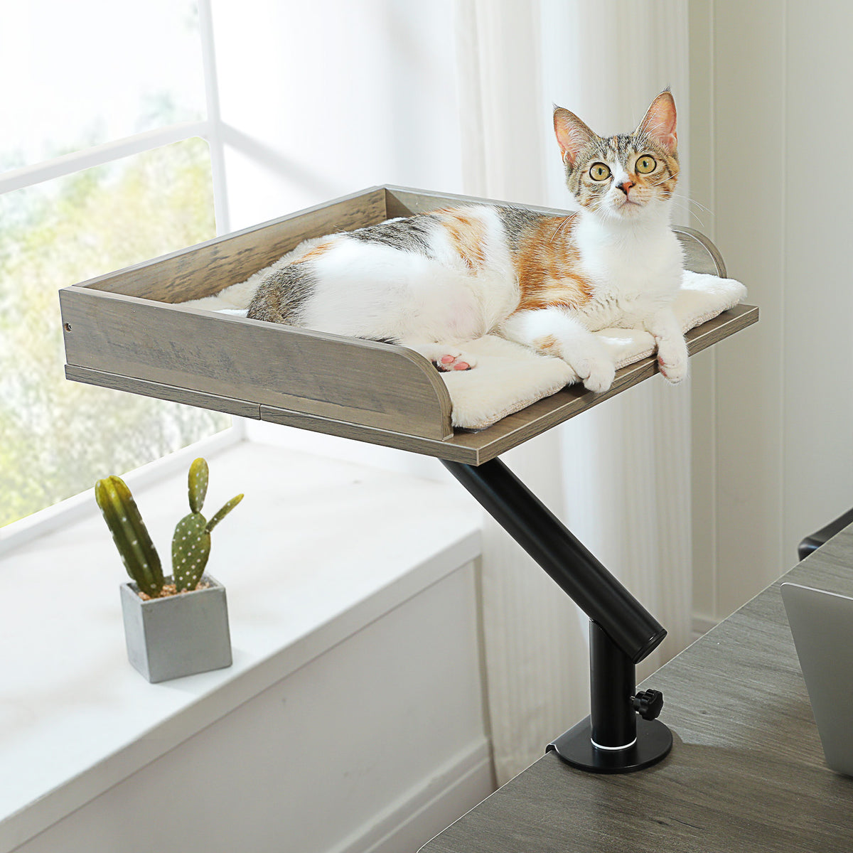 Tisch-Katzenliege Grau, 39 × 39 cm