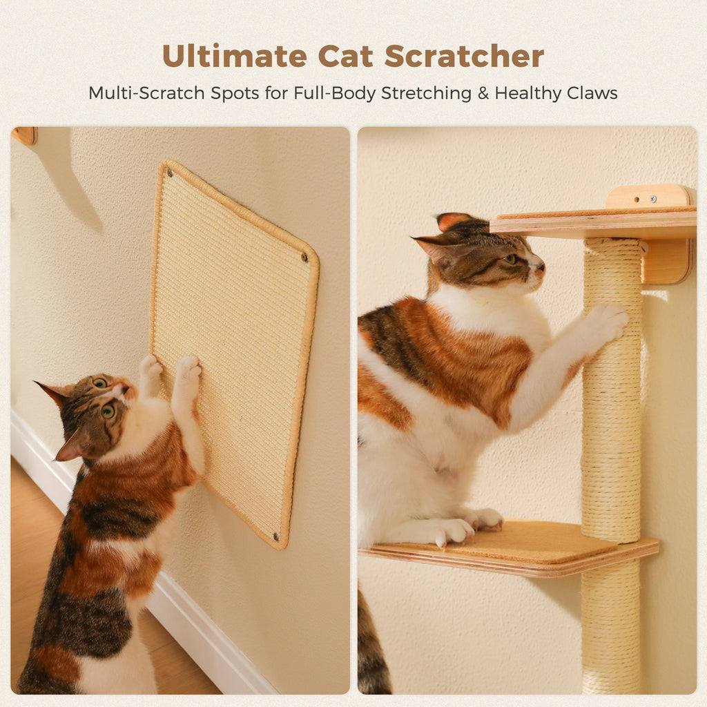 5-in-1 Katzenwand Set mit Kratzflächen – Natur