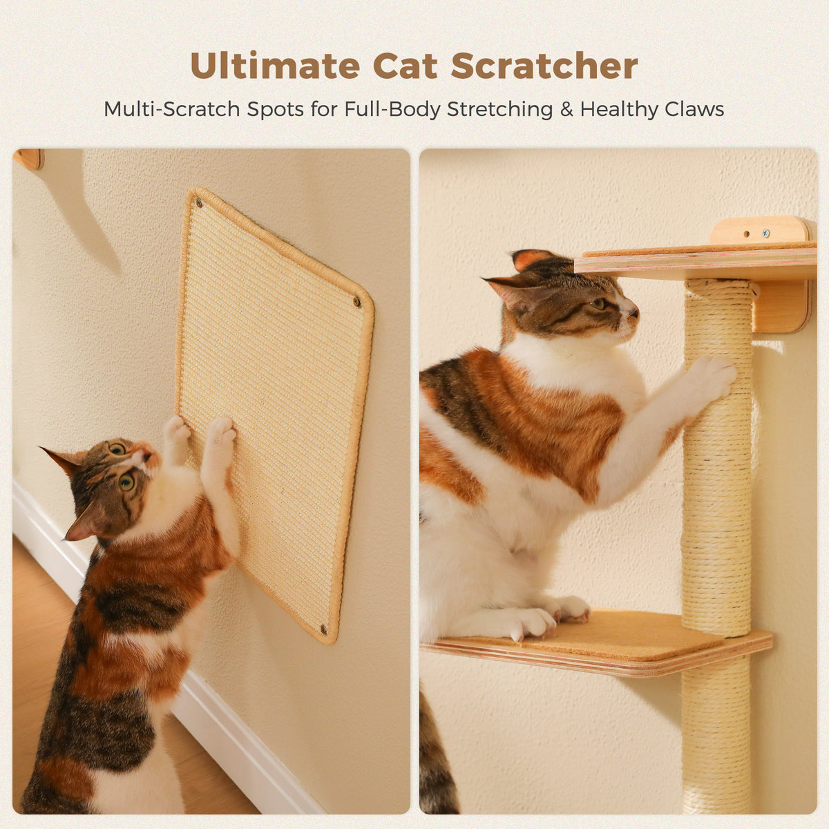 5-in-1 Katzenwand Set mit Kratzflächen – Natur