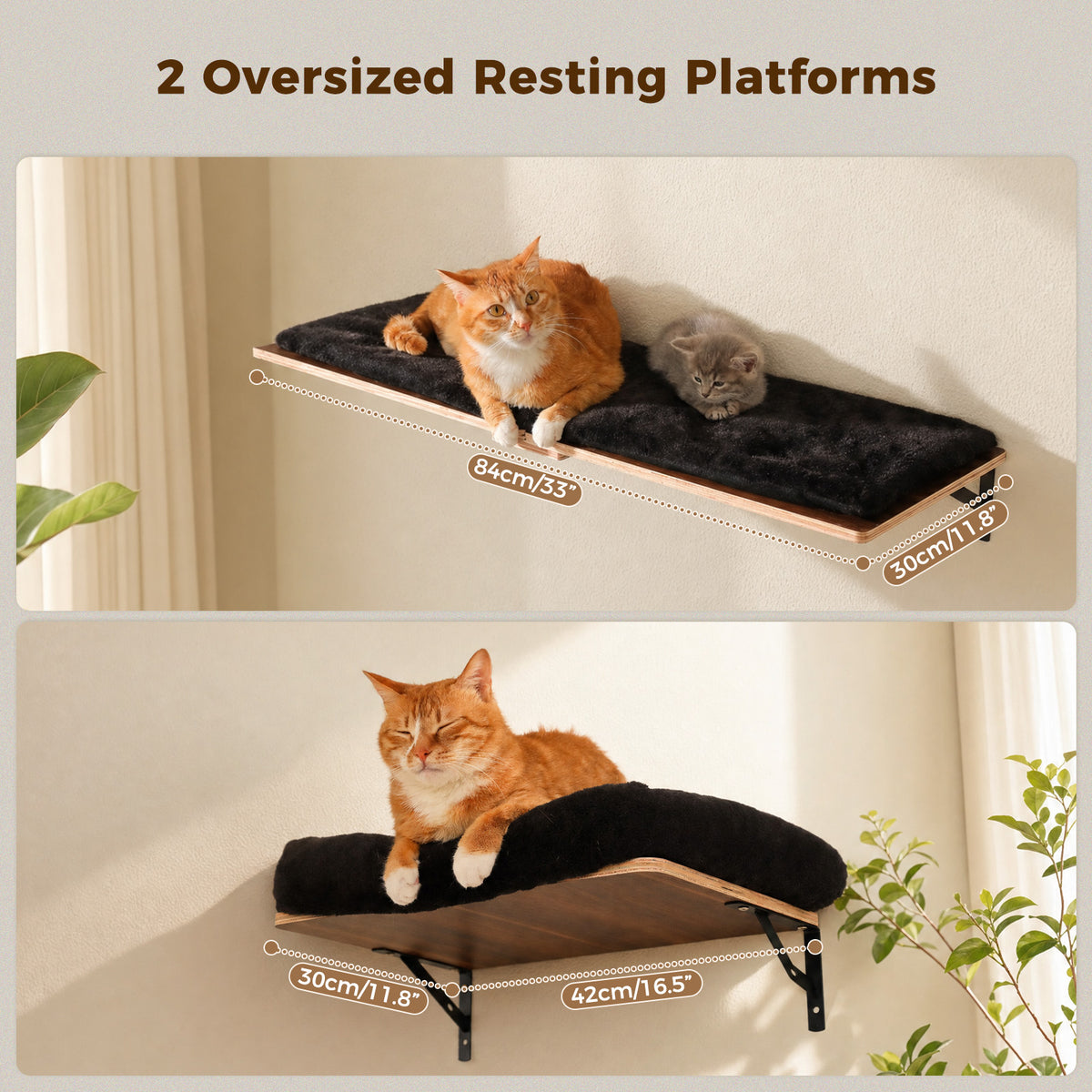 5-in-1 Katzenwand Set mit Kratzflächen – Schwarz