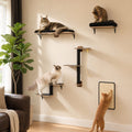 Three cats on wall-mounted cat shelves in a home setting.