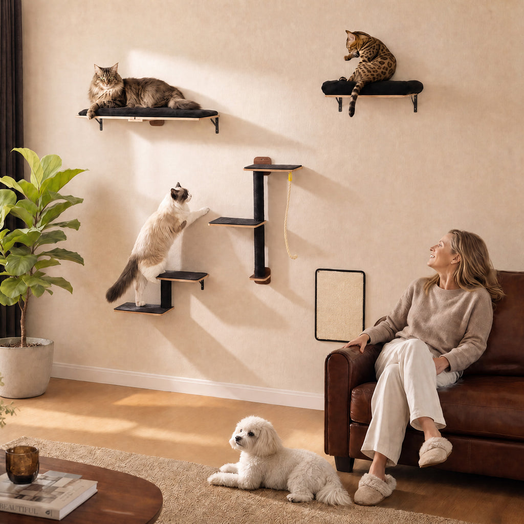 5-in-1 Katzenwand Set mit Kratzflächen – Schwarz