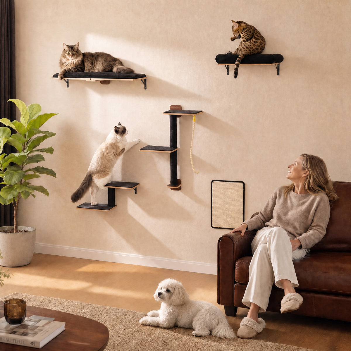5-in-1 Katzenwand Set mit Kratzflächen – Schwarz