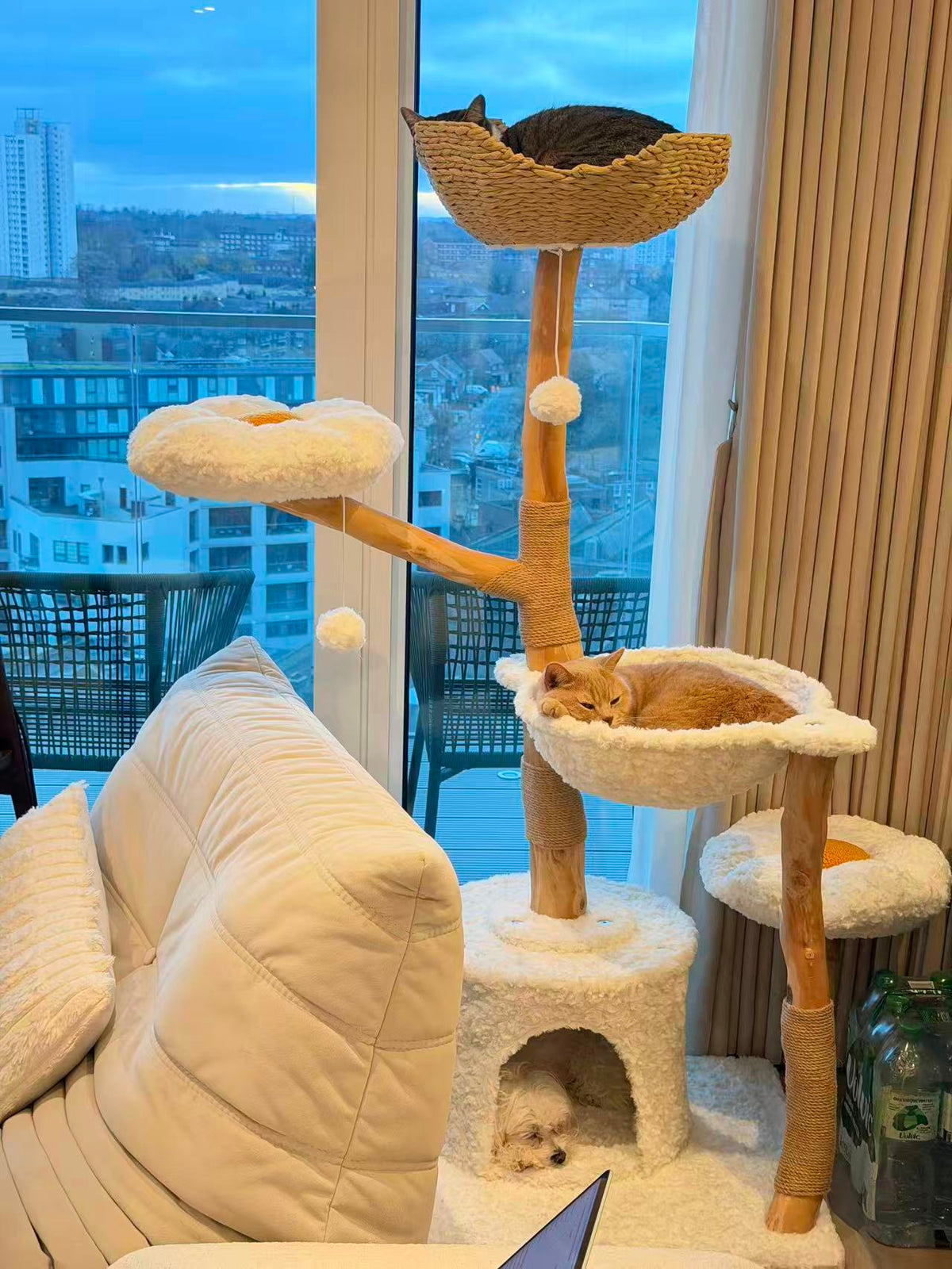 Cat tree with cats on a couch and window view