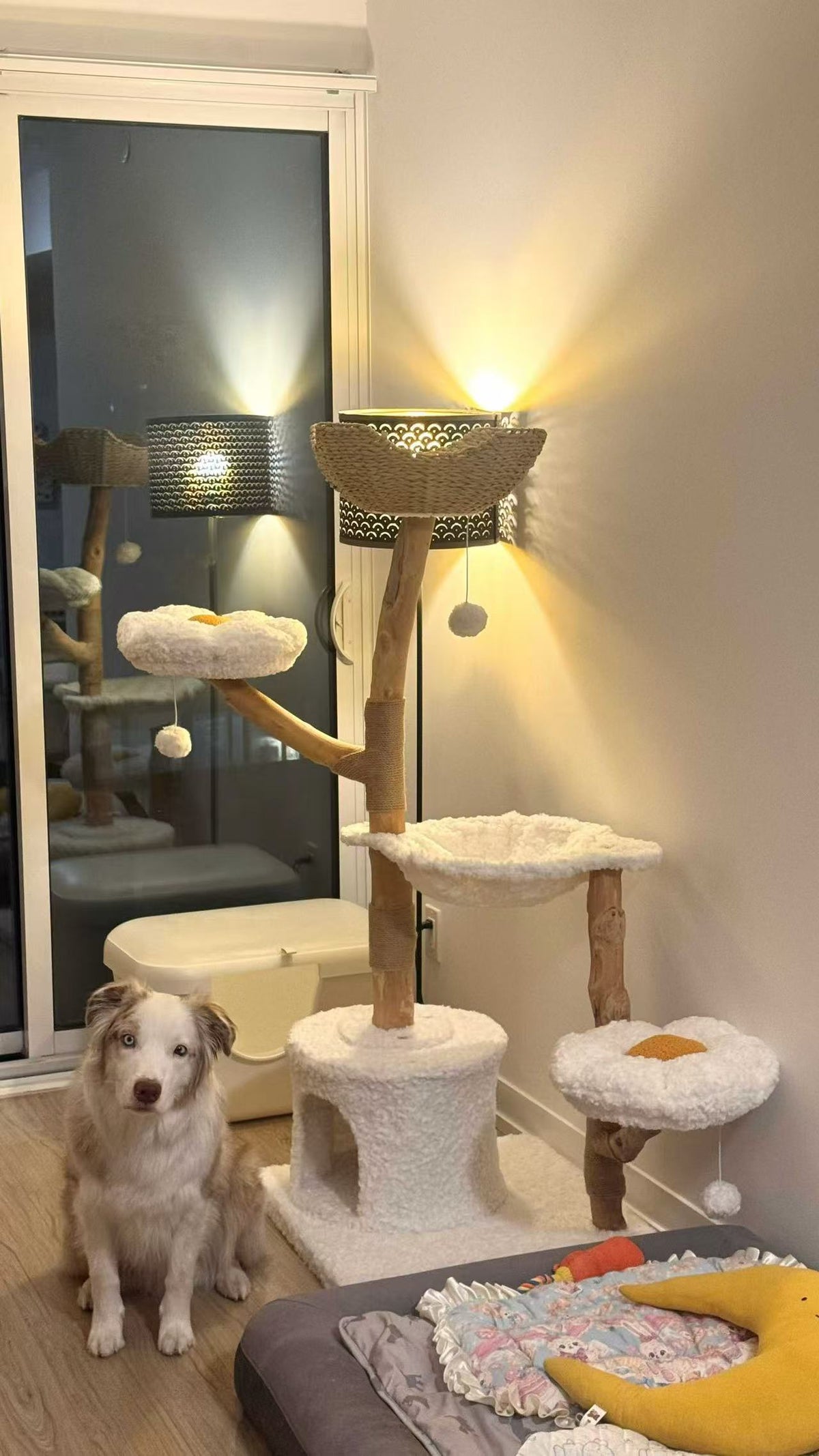 Dog sitting next to a cat tree in a room with a mirror reflecting the interior.