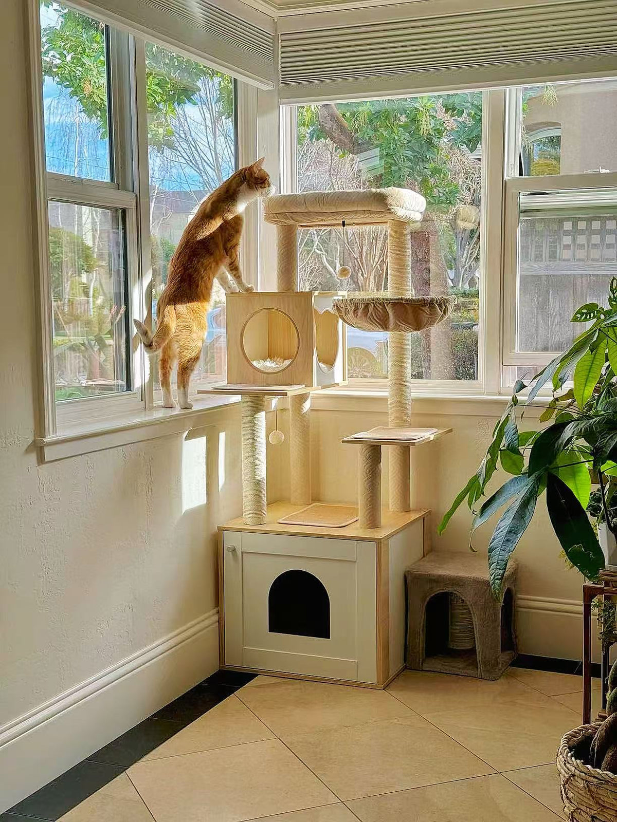 Großer Kratzbaum für Katzen mit mehreren Ebenen, Höhlen und Sisalstämmen, während eine Katze am Fenster klettert.