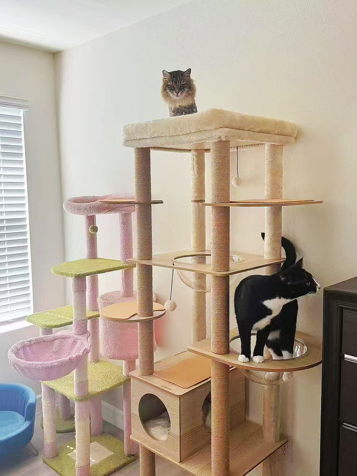 Two cats on a multi-level cat tree in a room with a window and furniture.