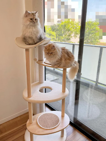 Two cats on a multi-level cat tree with a cityscape view outside.