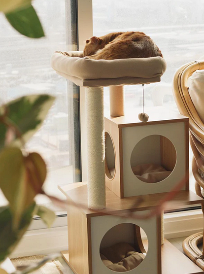 Cat tree with a cat sleeping on top near a window