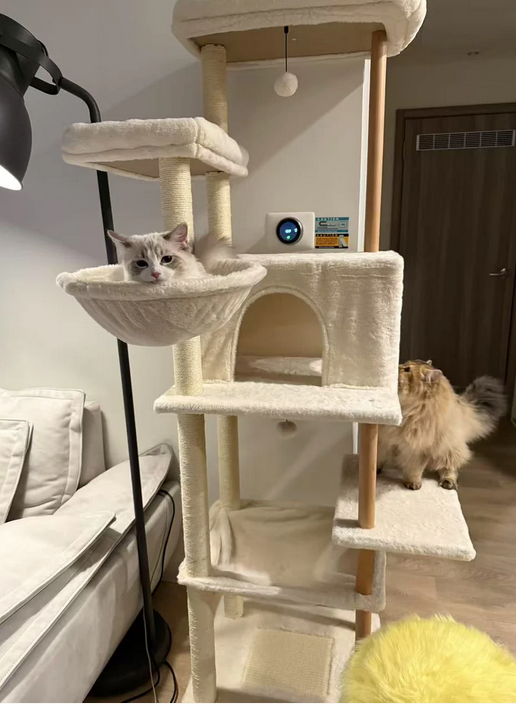Cat tree with two cats in a room with a sofa and lamp.