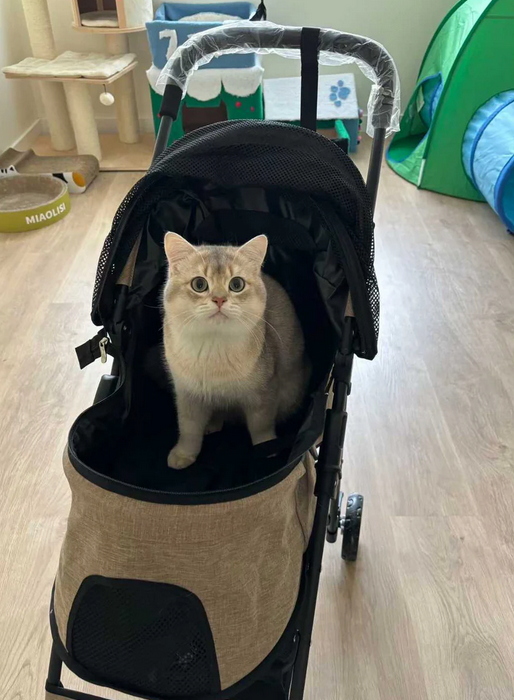 Cat sitting in a pet stroller on a wooden floor with toys in the background