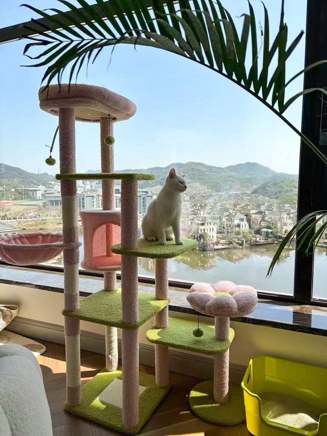 Cat tree with a cat sitting on top, window view of a lake and mountains