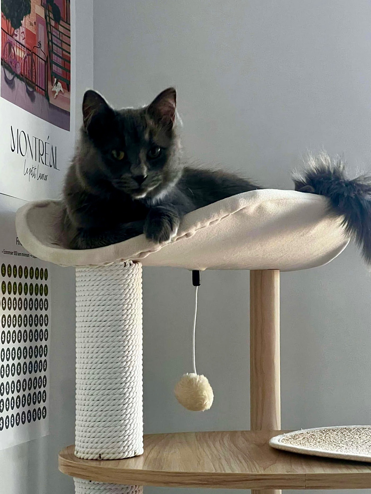 Cat lounging on a cat tree with a scratching post and toy in a room.