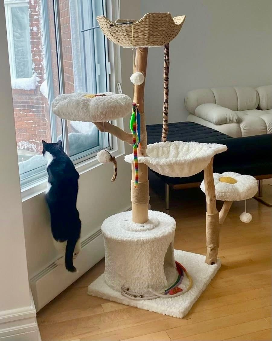 Cat tree with multiple levels and a cat sitting on a windowsill in a living room.